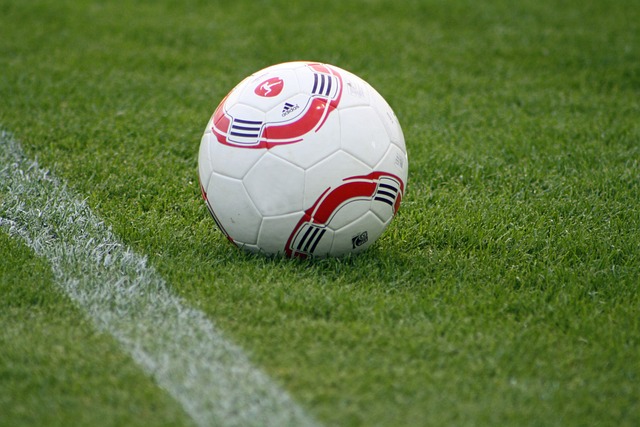 显著加强 显著加强