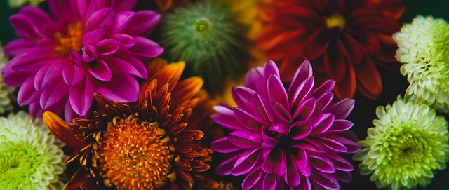 在不断创新 在不断创新