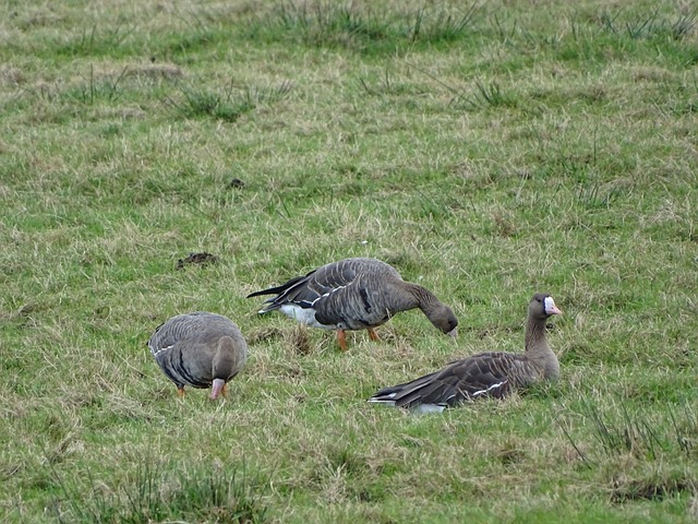 侯森用自己 侯森用自己