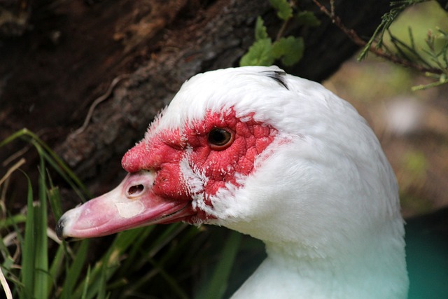 足提供了良 足提供了良