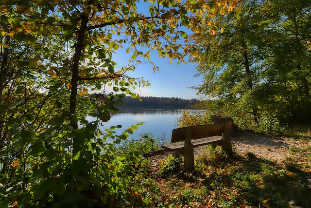 队实力或长 队实力或长