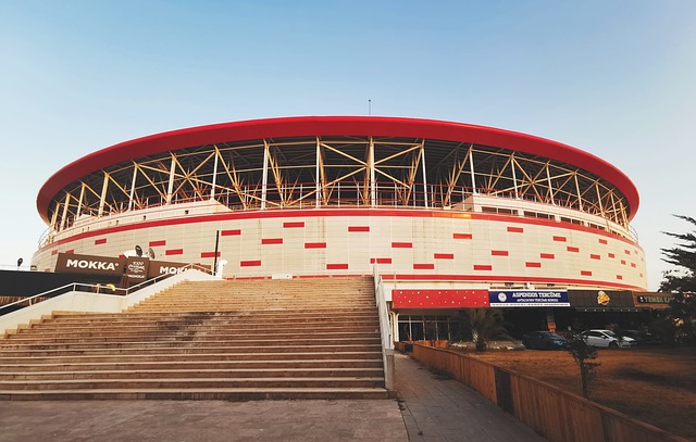 他们的每一 他们的每一